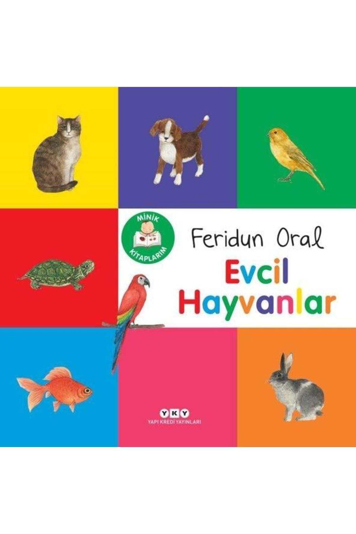 Minik Kitaplarım - Evcil Hayvanlar